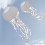 CiM Jellyfish / Kwal