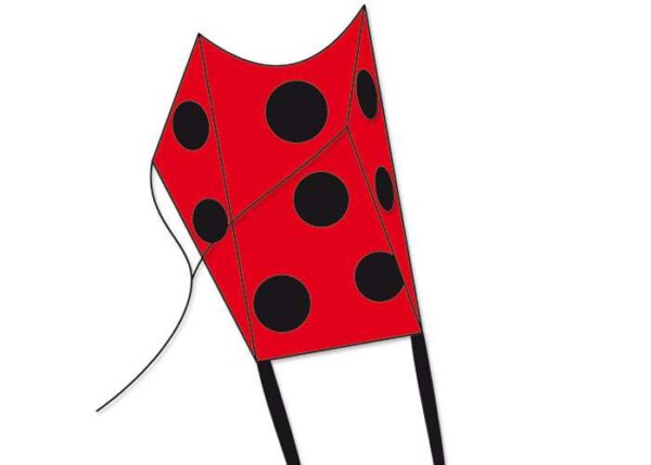 Mini Sled LADYBIRD – Bild 2