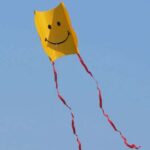 Mini Sled SMILEY