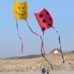 Mini Sled SMILEY – Bild 3