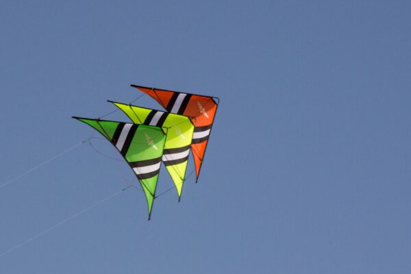 Speedwing X1 – Klassischer Power-Lenkdrachen – Bild 25