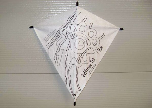 Fixy Diamant S | The Easy Kite | Tyvek – Bild 7