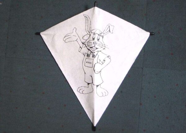 Fixy Diamant S | The Easy Kite | Tyvek – Bild 3