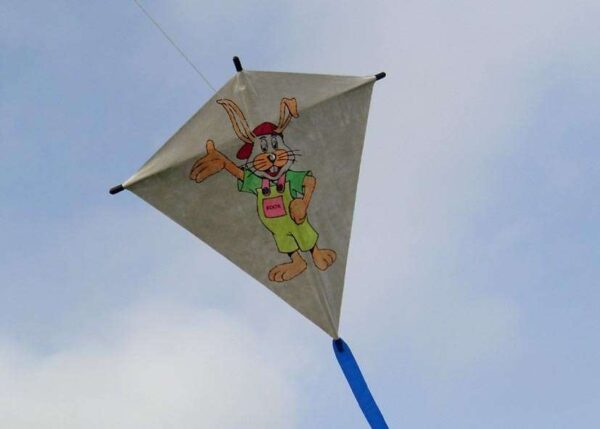 Fixy Diamant S | The Easy Kite | Tyvek – Bild 5
