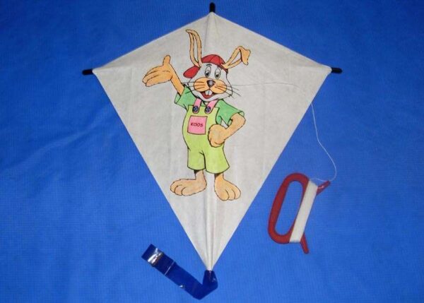 Fixy Diamant S | The Easy Kite | Tyvek – Bild 4