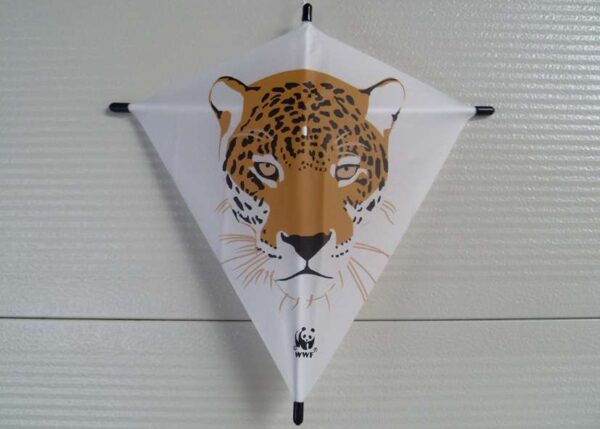 Fixy Diamant XS | The Easy Kite – Bild 2