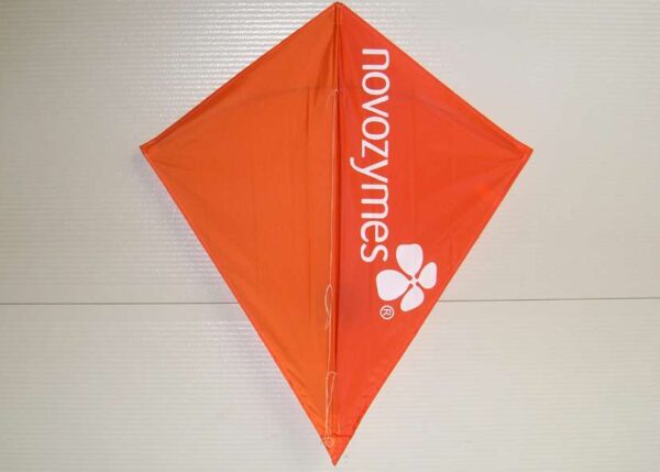 LX Diamant 85 | The Strong Kite - Afbeelding 3