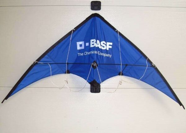 Wind Wasp Sportlenkdrachen | The Fast Kite – Bild 2