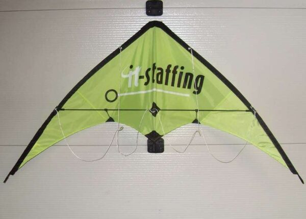 Wind Wasp Sportlenkdrachen | The Fast Kite – Bild 5