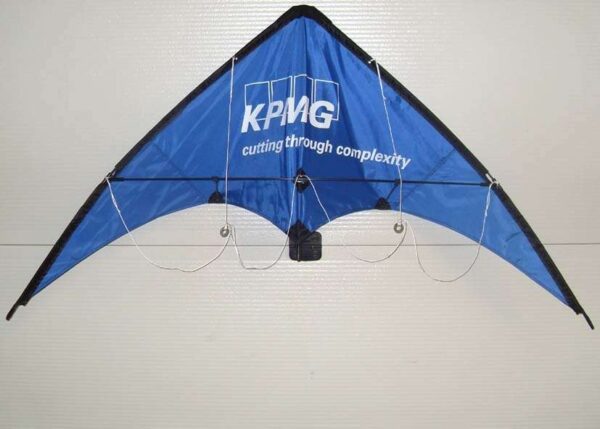 Wind Wasp Sportlenkdrachen | The Fast Kite – Bild 4