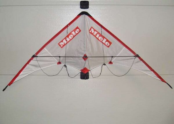 Wind Wasp Sportlenkdrachen | The Fast Kite – Bild 3