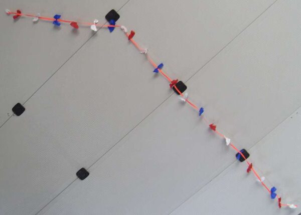 Bowtail RotWeißBlau – Bild 2