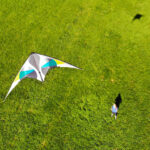 HQ Jive III Aqua | Allround - Afbeelding 3
