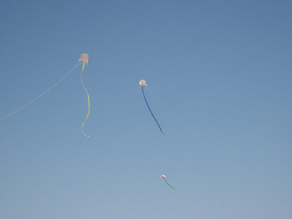 Kiddy Kite A4 - Set mit 25 Teilen – Bild 6