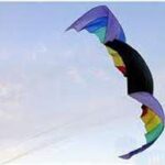 Nasa Wing Rainbow 2.0 - Afbeelding 7