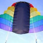 Nasa Wing Rainbow 2.0
