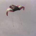 Nasa Wing Rainbow 2.0 - Afbeelding 12