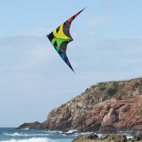 Spider Rainbow – Bild 3