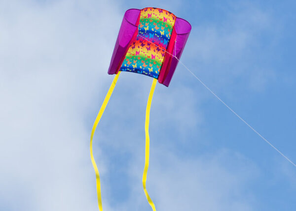 Beachkite BUTTERFLY – Bild 3
