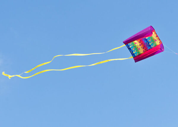 Beachkite BUTTERFLY – Bild 4