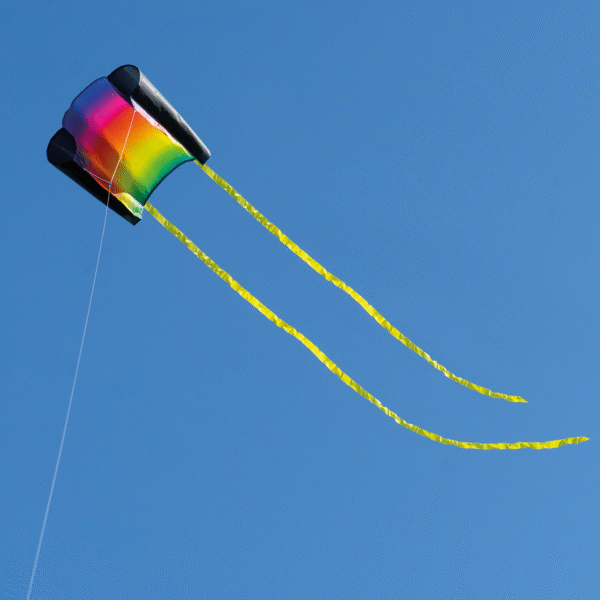Beachkite PRISM – Bild 3