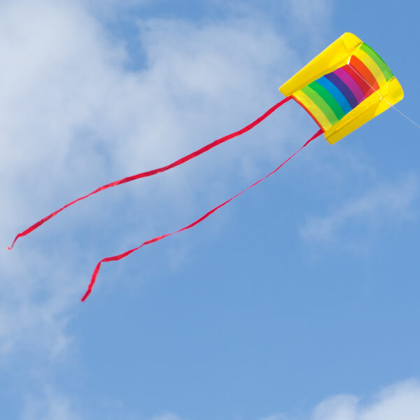 Beachkite RAINBOW – Bild 3
