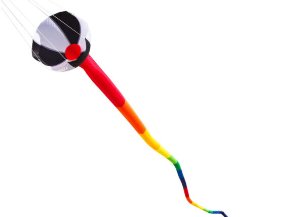 Tube Tail Tafetta 20 meter - Afbeelding 3